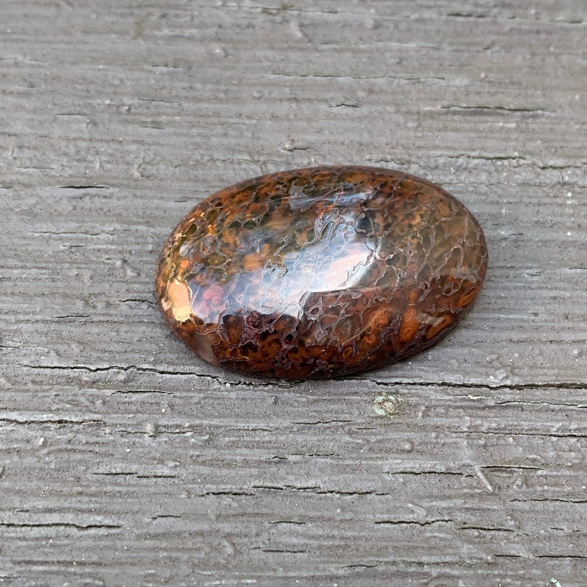 Fossil Dinosaur Bone Cabochon - 26.5 carats - Earth & Hammer