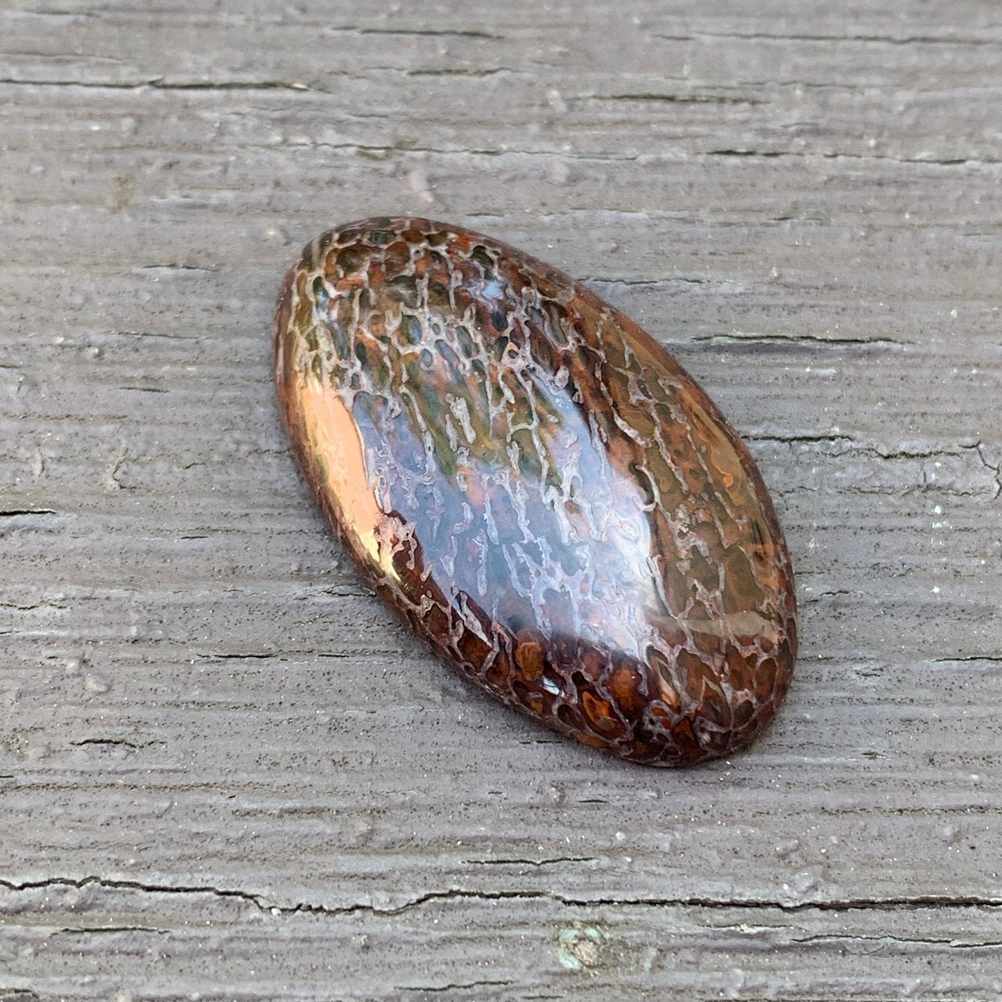 Fossil Dinosaur Bone Cabochon - 27.3 carats - Earth & Hammer