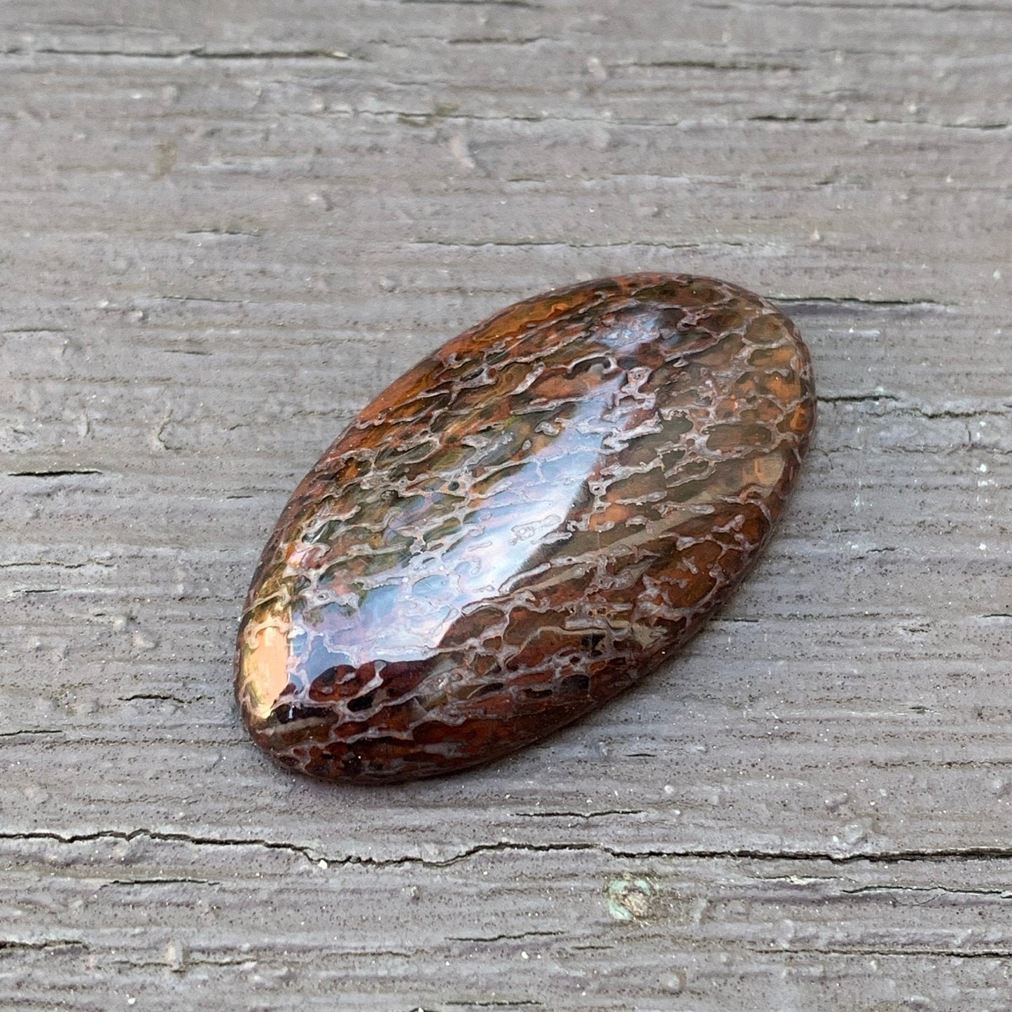 Fossil Dinosaur Bone Cabochon - 27.3 carats - Earth & Hammer