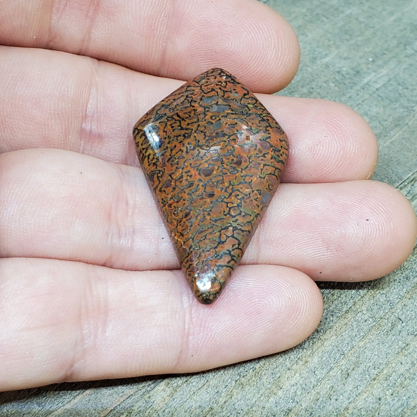 Fossil Dinosaur Bone Cabochon - 34 Carats - Earth & Hammer