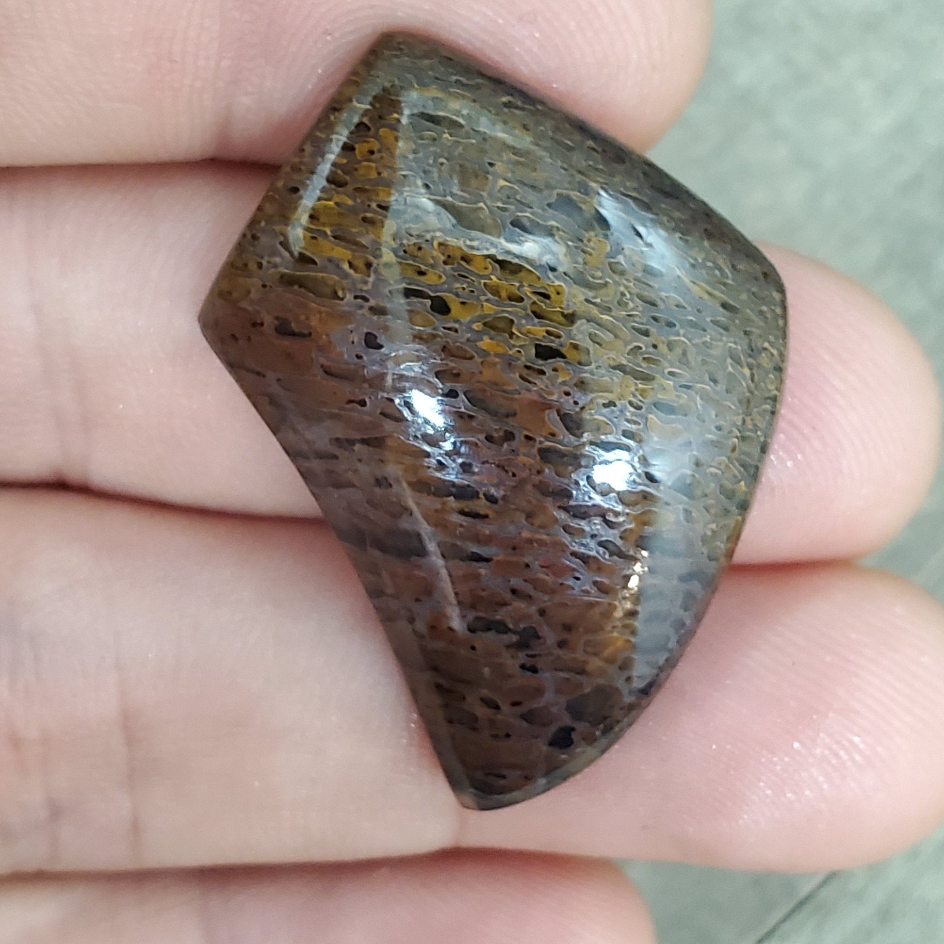 Fossil Dinosaur Bone Cabochon - 38.6 Carats - Earth & Hammer