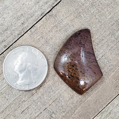 Fossil Dinosaur Bone Cabochon - 38.6 Carats - Earth & Hammer