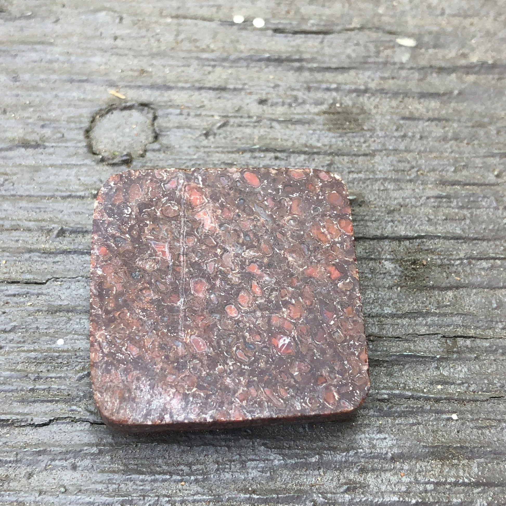 Fossil Dinosaur Bone Cabochon - 39 carats - Earth & Hammer