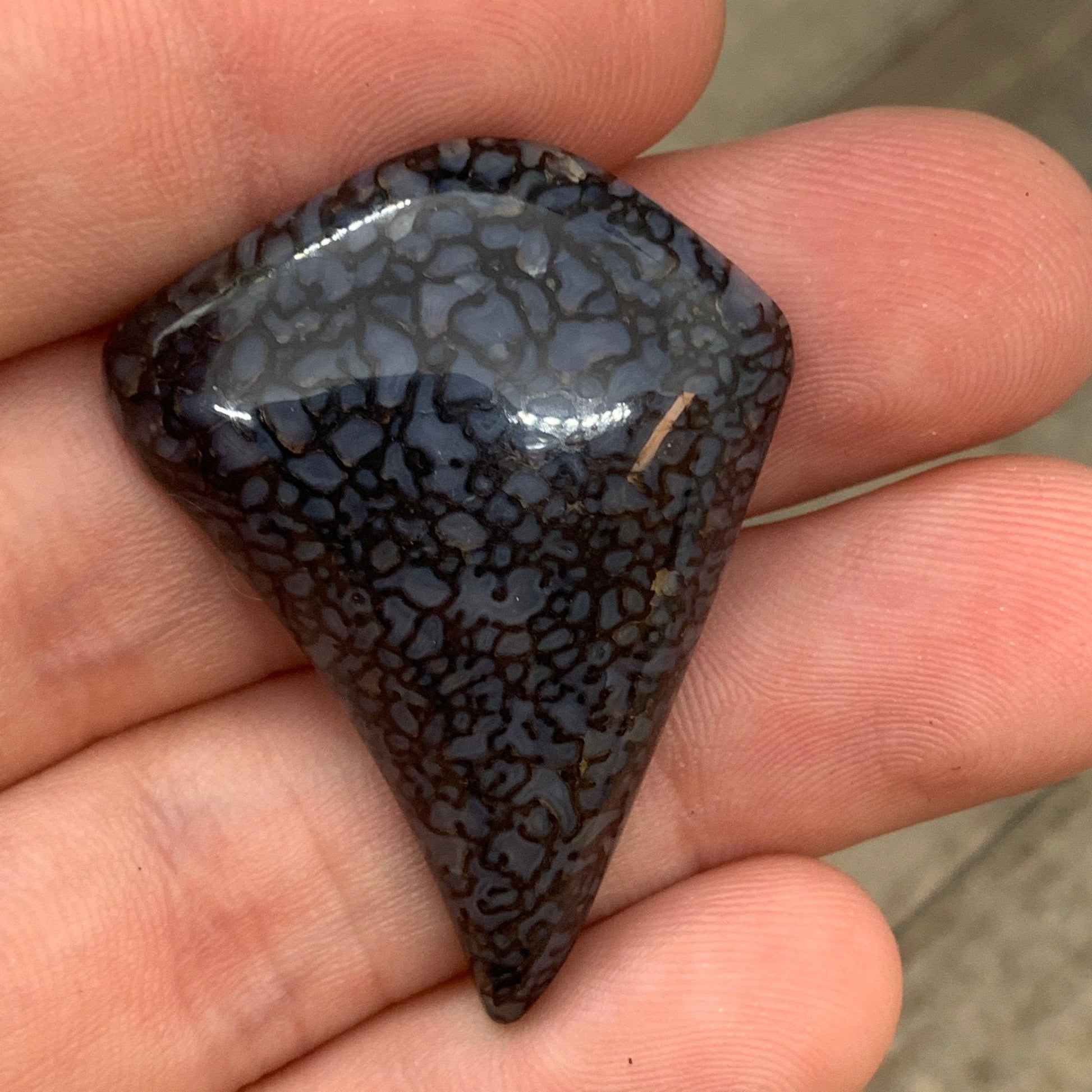 Fossil Dinosaur Bone Cabochon - 40 carats - Earth & Hammer