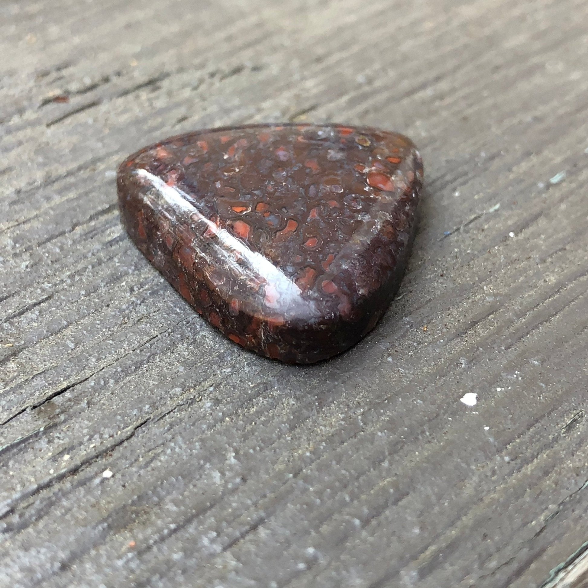 Fossil Dinosaur Bone Cabochon - 40.9 carats - Earth & Hammer