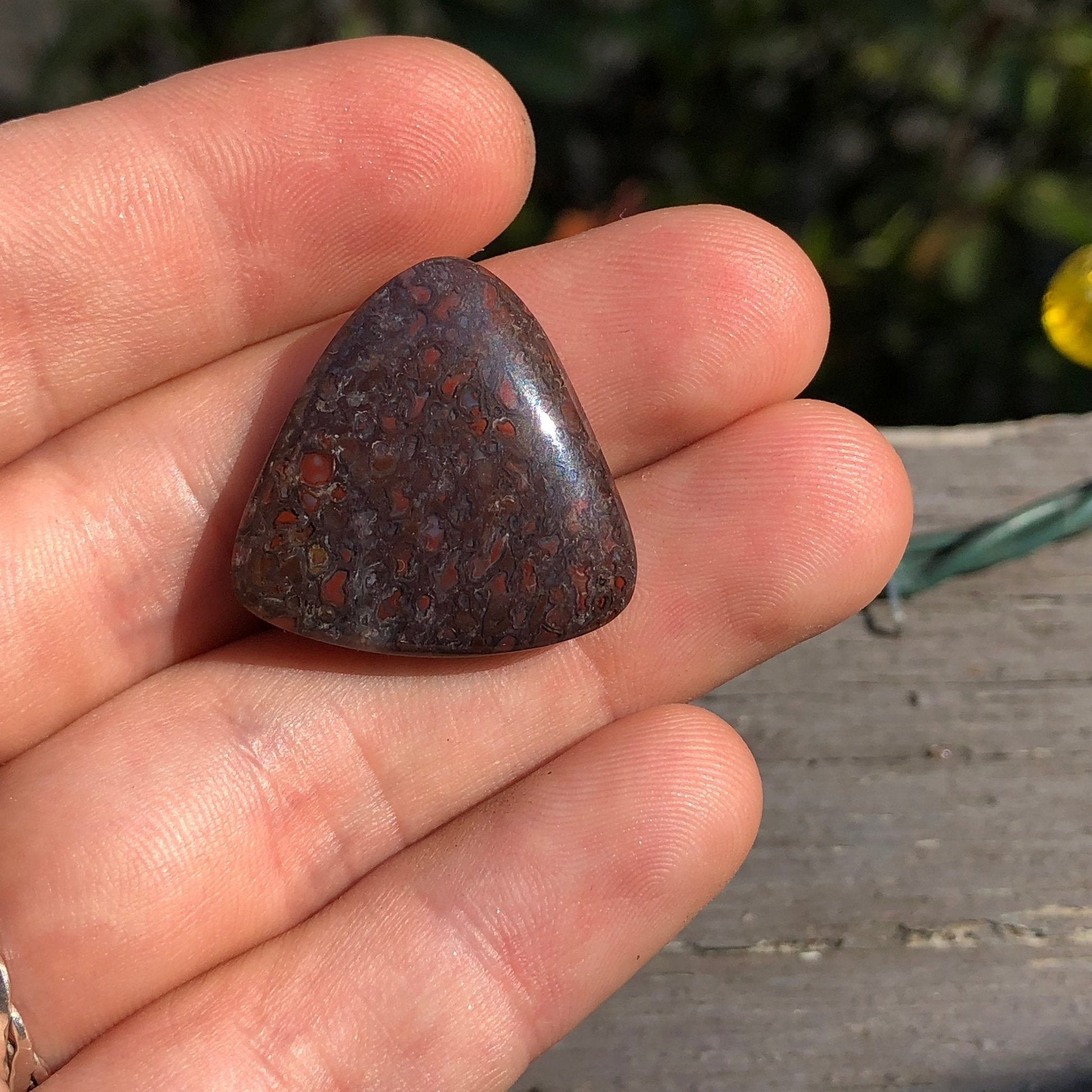 Fossil Dinosaur Bone Cabochon - 40.9 carats - Earth & Hammer