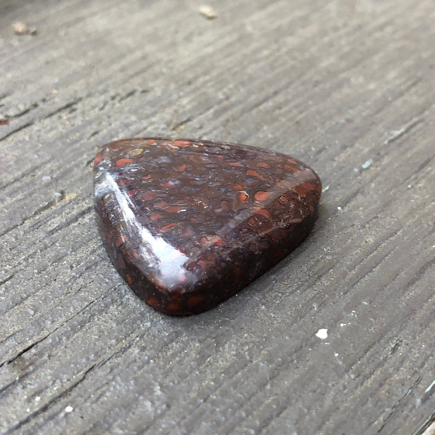 Fossil Dinosaur Bone Cabochon - 40.9 carats - Earth & Hammer