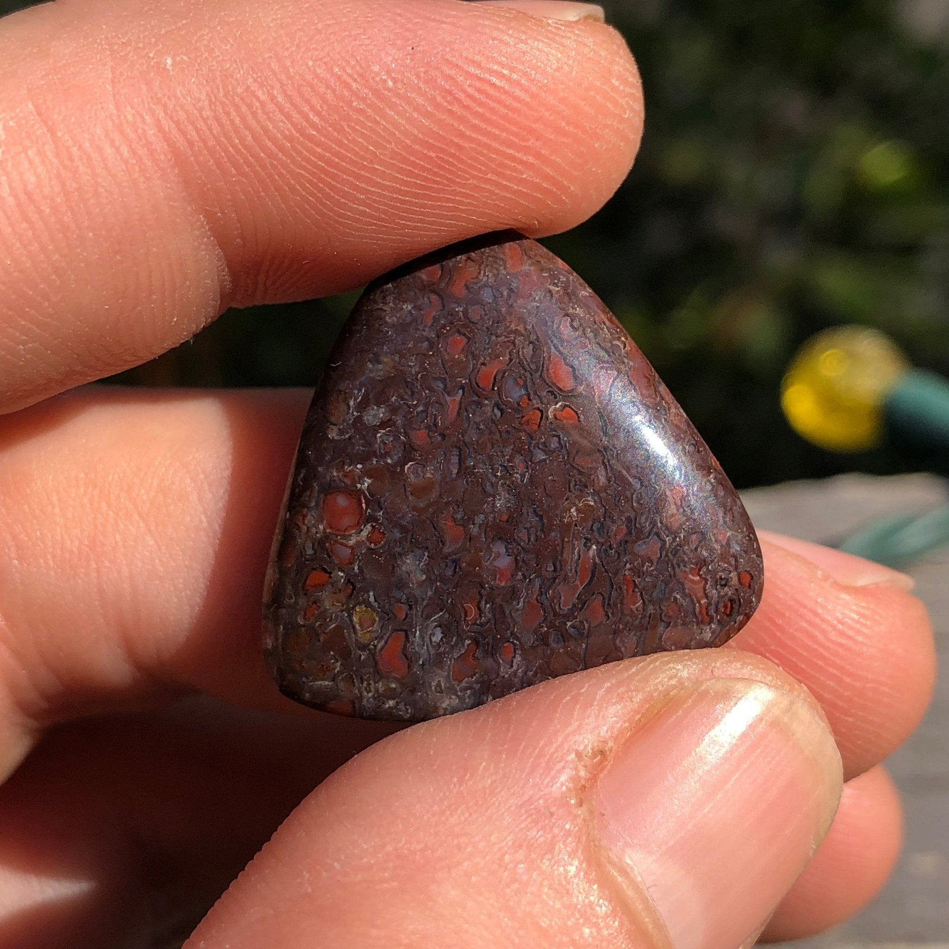 Fossil Dinosaur Bone Cabochon - 40.9 carats - Earth & Hammer