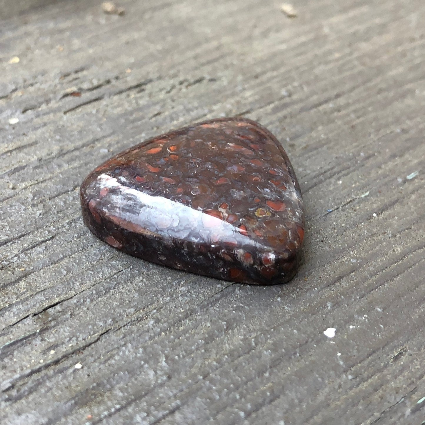 Fossil Dinosaur Bone Cabochon - 40.9 carats - Earth & Hammer