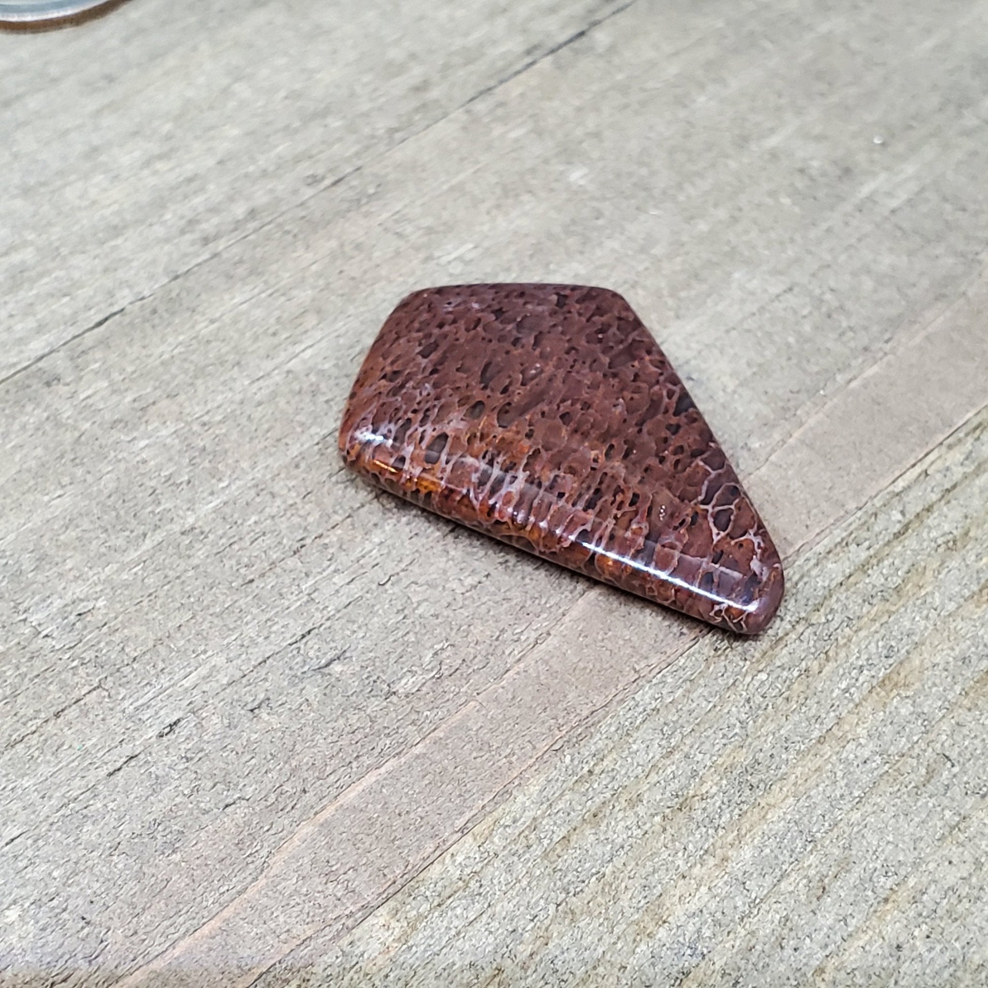 Fossil Dinosaur Bone Cabochon - 51 Carats - Earth & Hammer