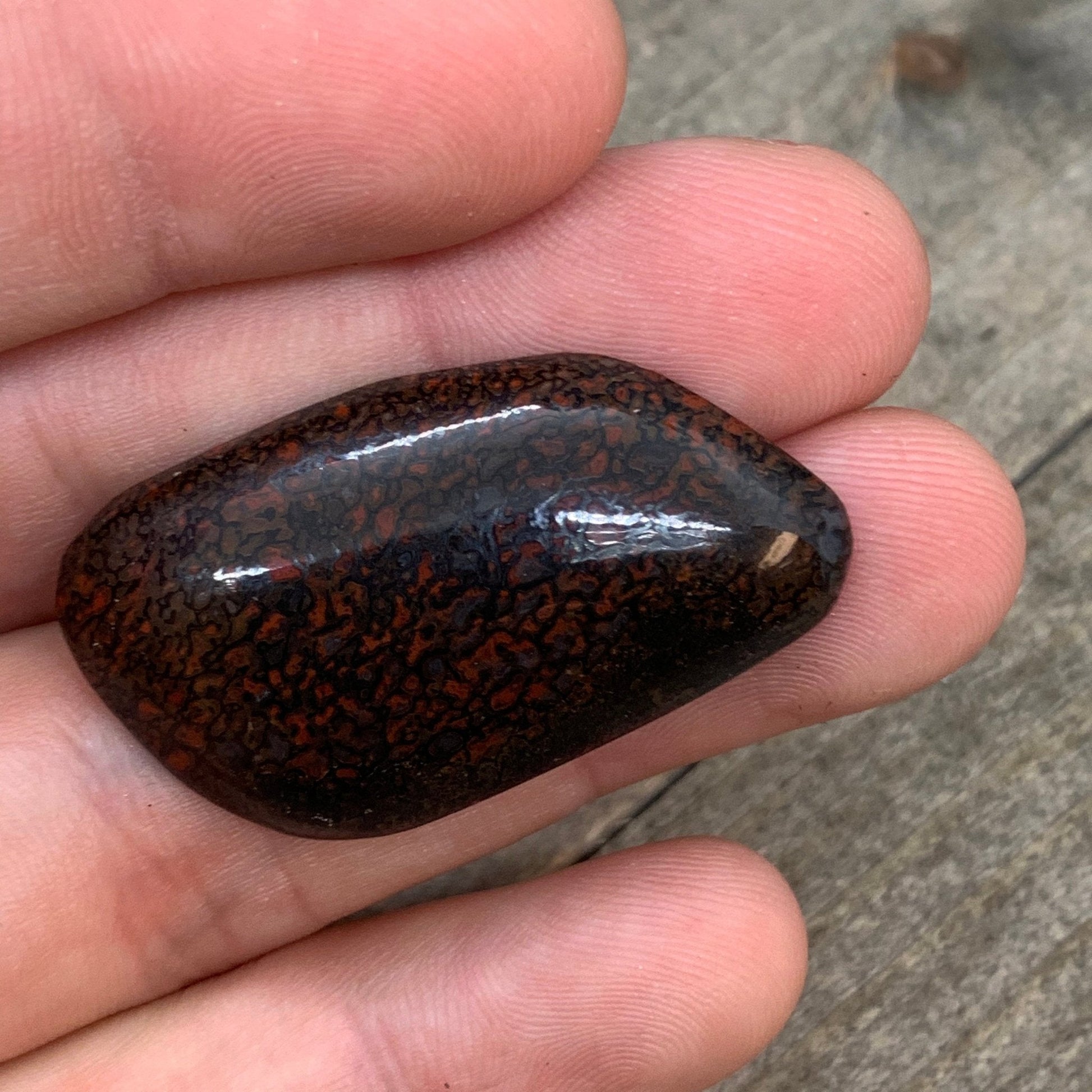 Fossil Dinosaur Bone Designer Cabochon - 33 carats - Earth & Hammer