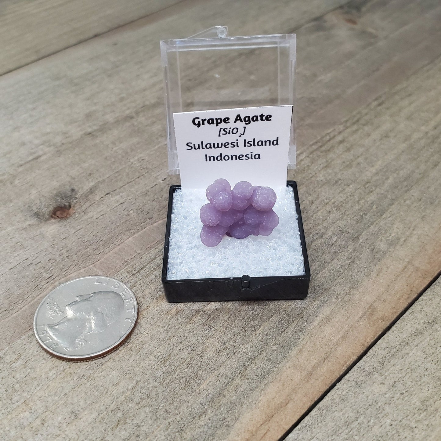 Grape Agate Specimen (Indonesia) - Earth & Hammer