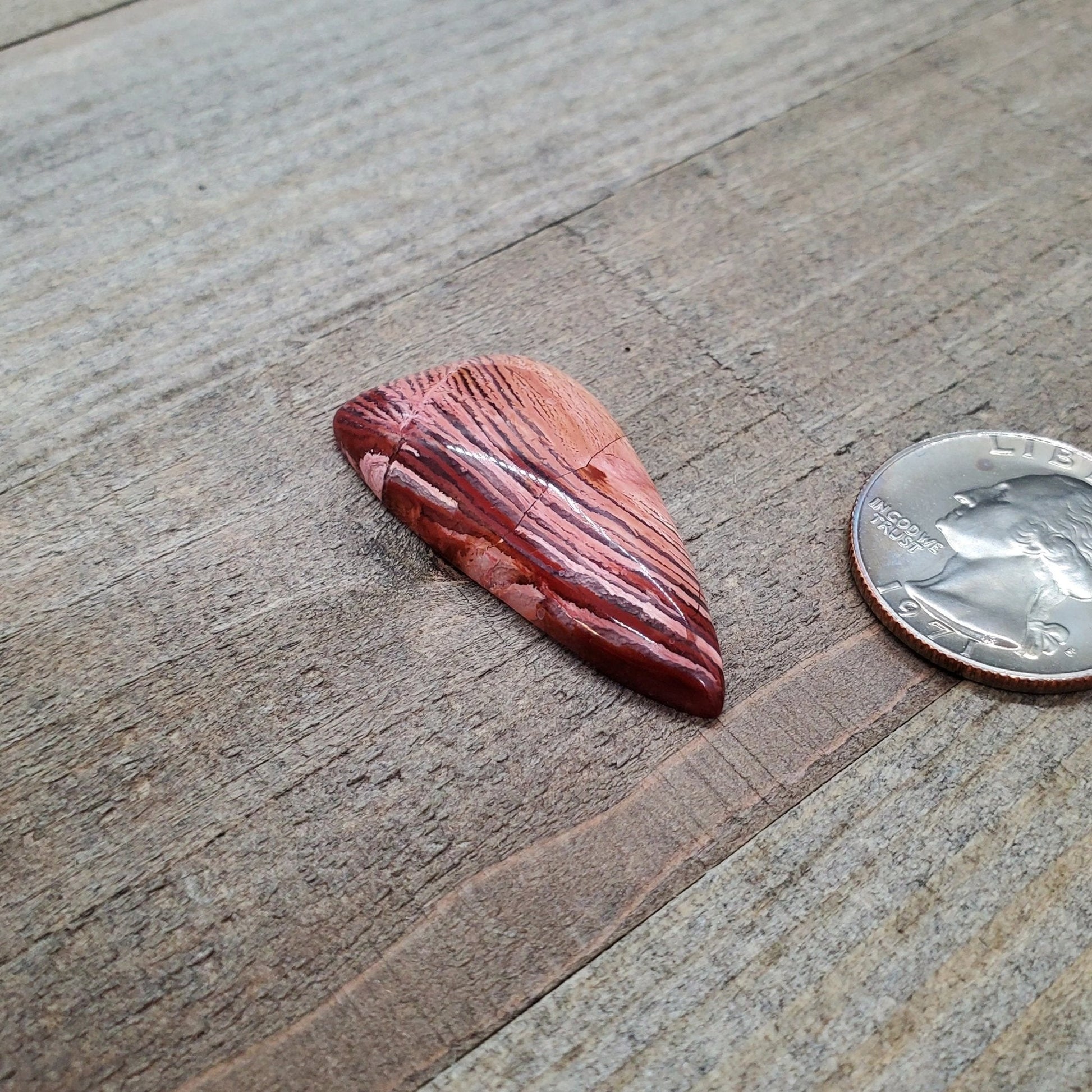 Howardite (aka Rattlesnake Jasper) - 26.9 carats (40 mm x 19 mm) - Earth & Hammer