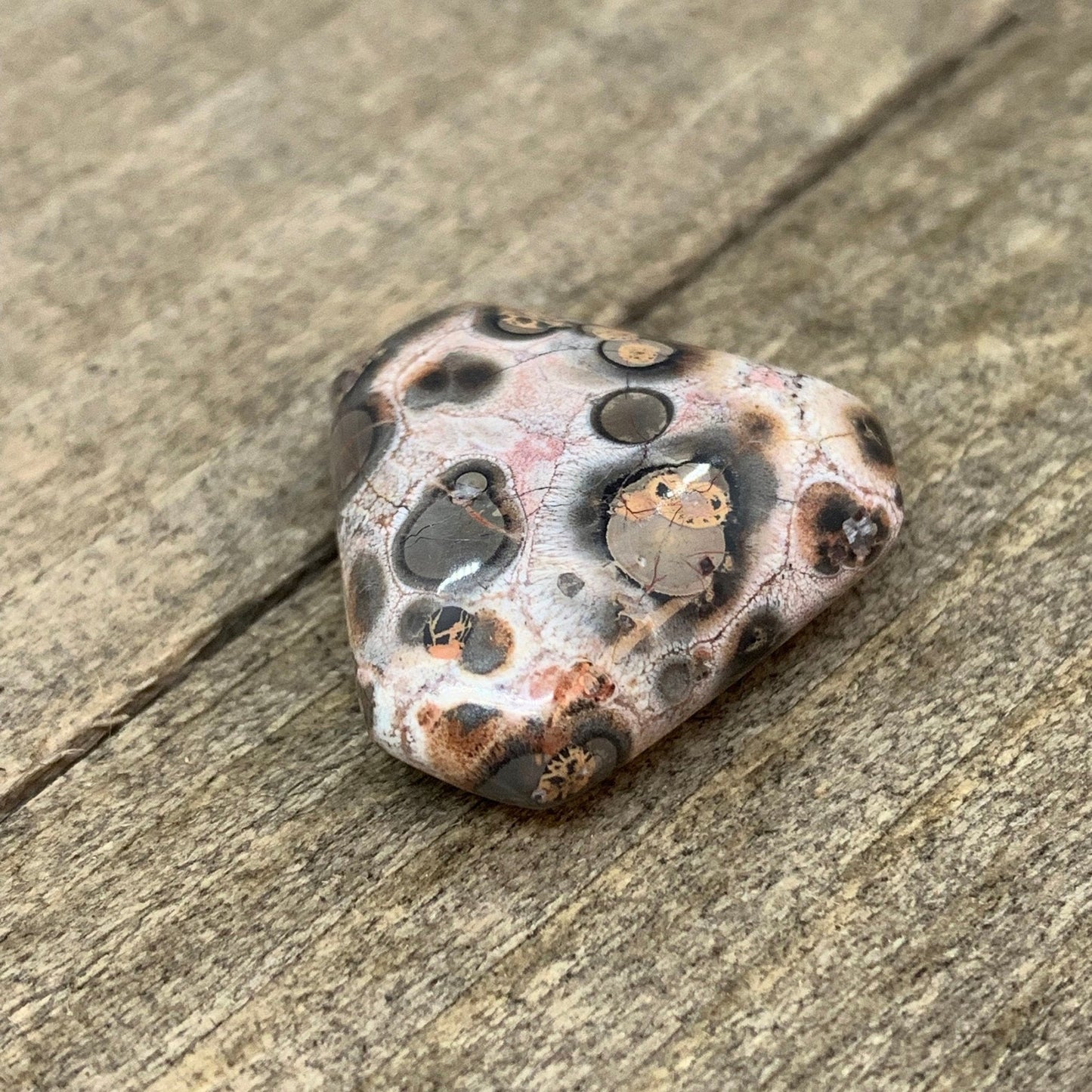 Leopard Skin Jasper Cabochon - 19.9 carats (20 mm) - Earth & Hammer