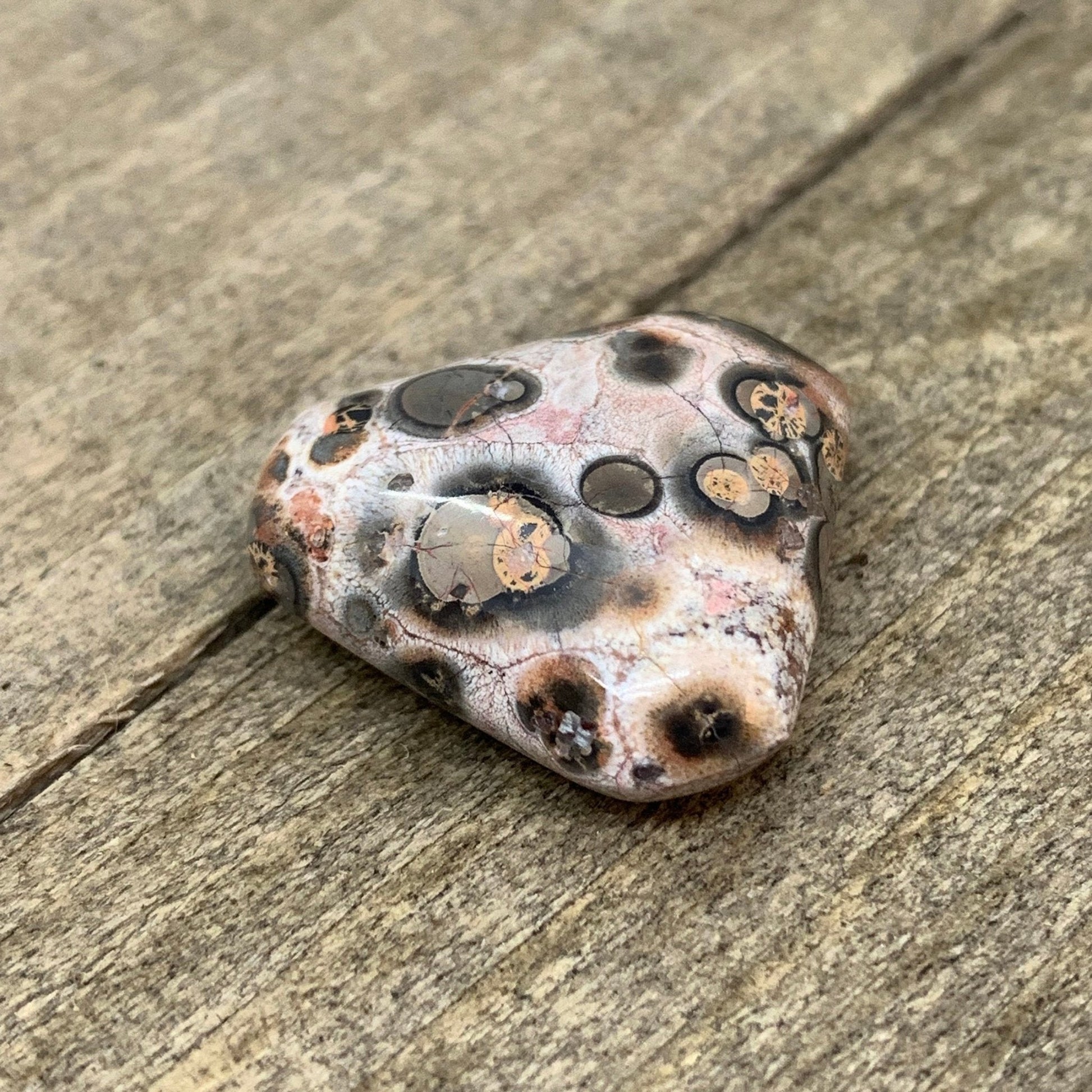 Leopard Skin Jasper Cabochon - 19.9 carats (20 mm) - Earth & Hammer