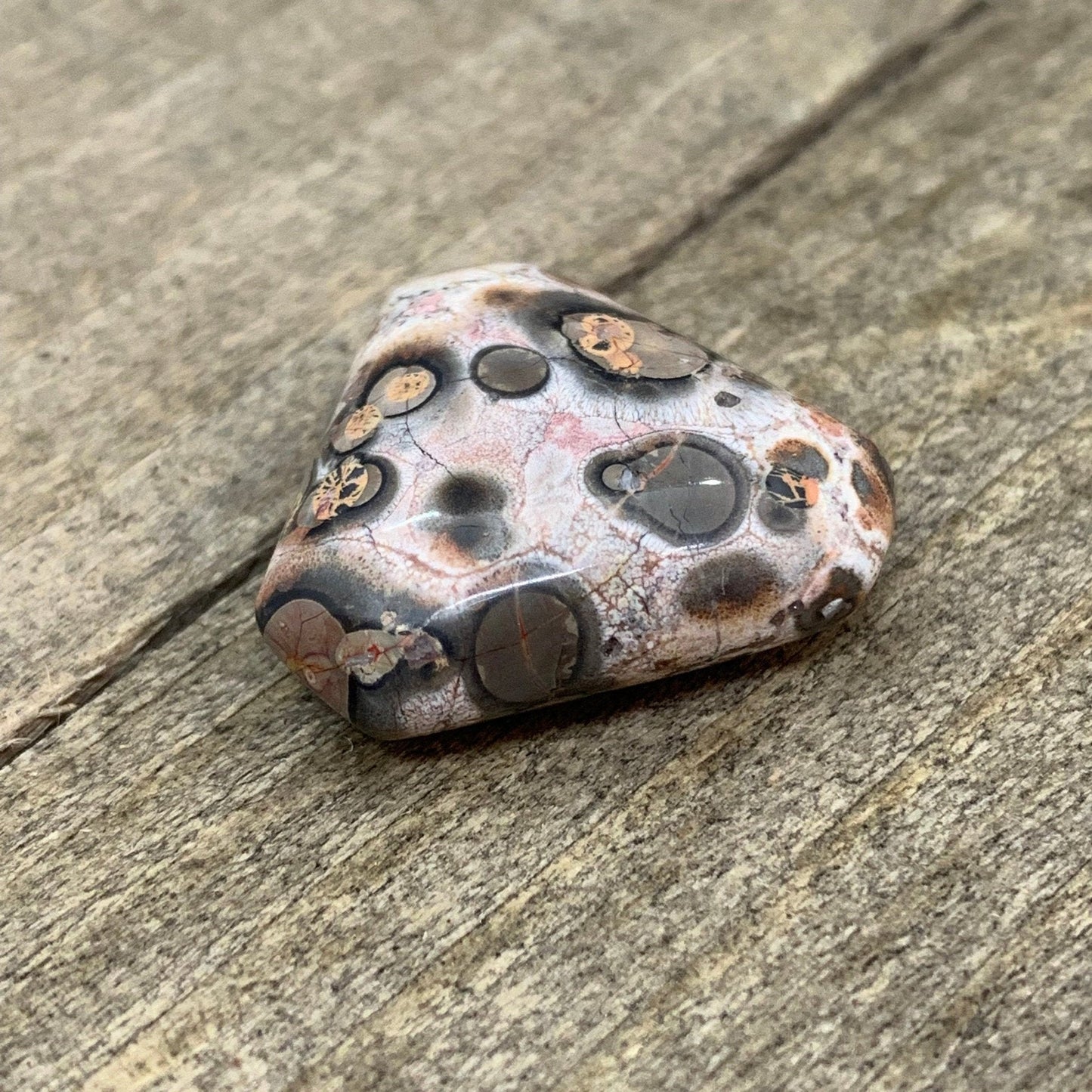 Leopard Skin Jasper Cabochon - 19.9 carats (20 mm) - Earth & Hammer