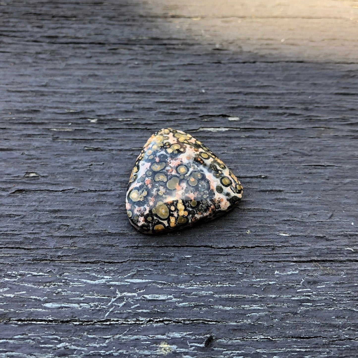 Leopard Skin Jasper Cabochon - 36.2 carats (~27 mm) - Earth & Hammer