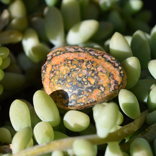 Leopard Skin Jasper Cabochon - 36.7 carats (22.6 mm x 30.5 mm) - Earth & Hammer