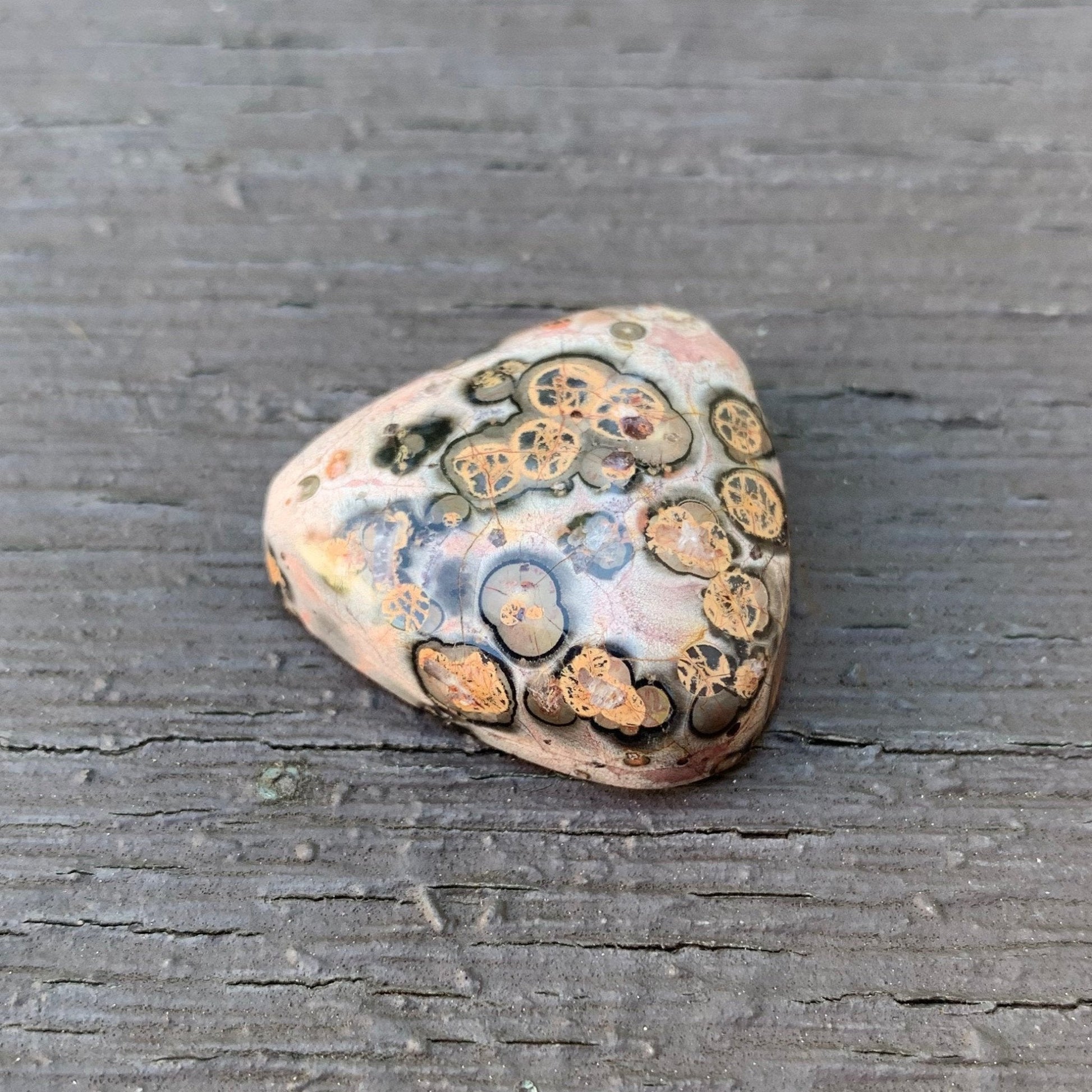 Leopard Skin Jasper Cabochon - 39.9 carats (~25 mm) - Earth & Hammer