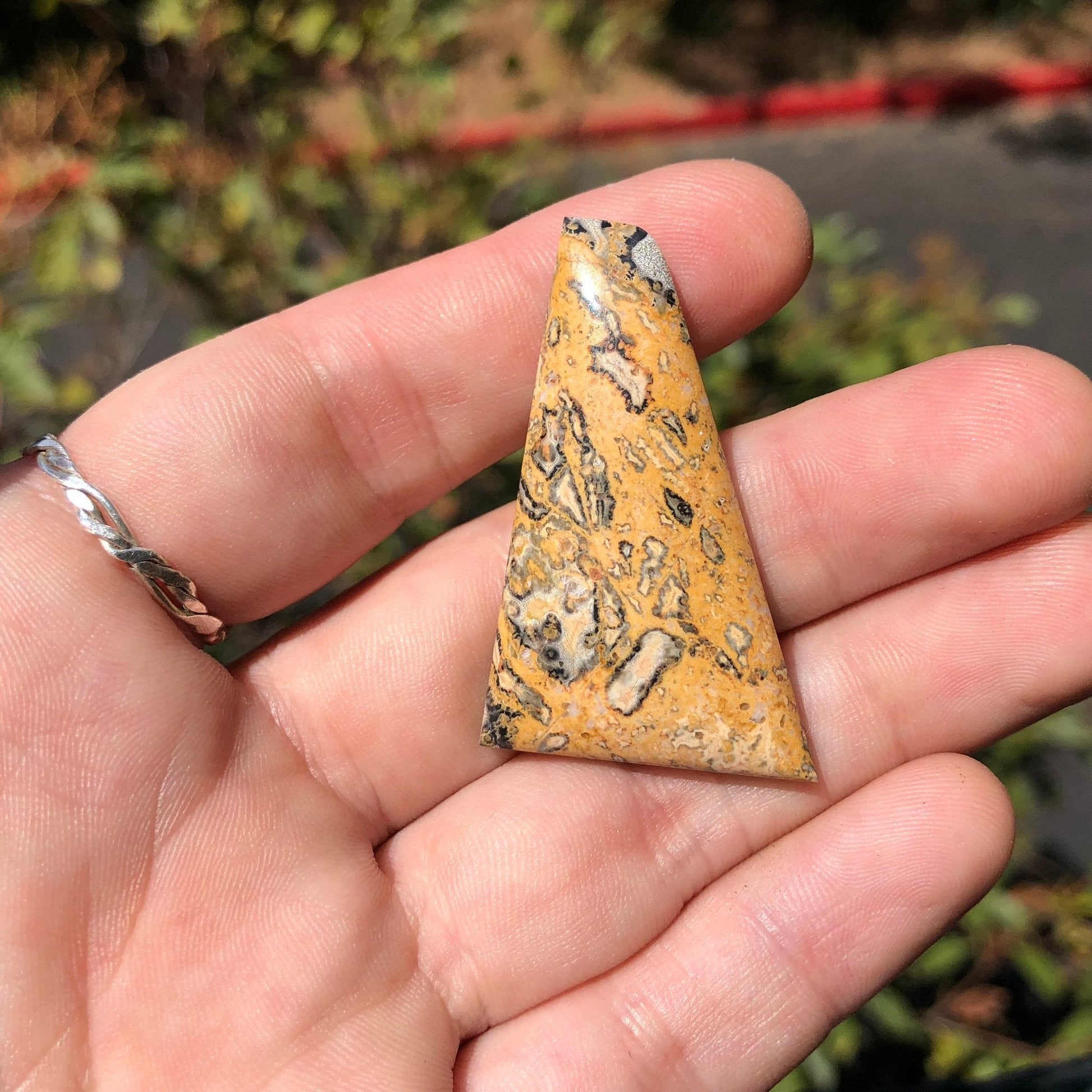 Leopard Skin Jasper Cabochon - 44 carats (43.2 mm x 27.2 mm) - Earth & Hammer