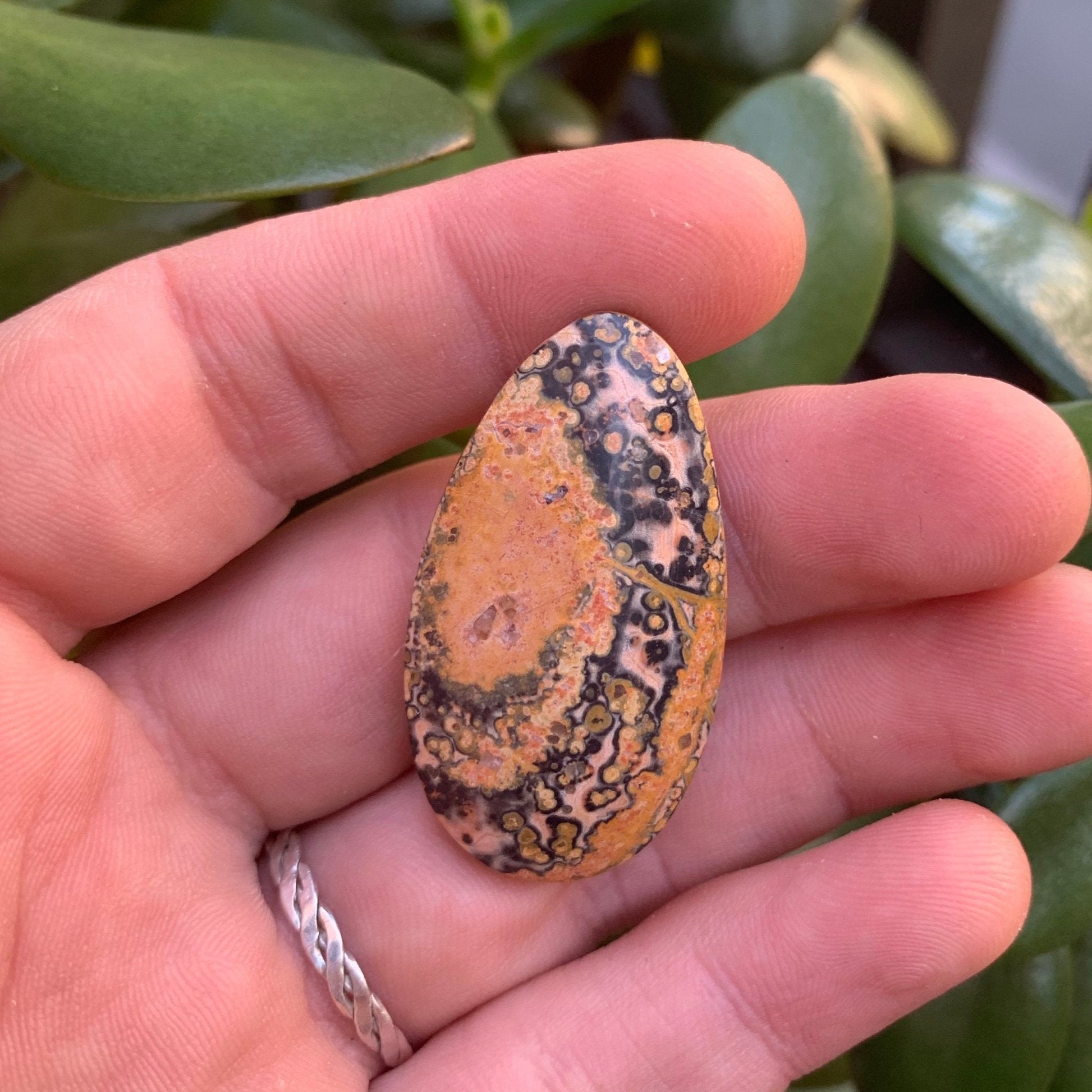 Leopard Skin Jasper Cabochon - 45.7 carats (40.0 mm x 22.0 mm) - Earth & Hammer