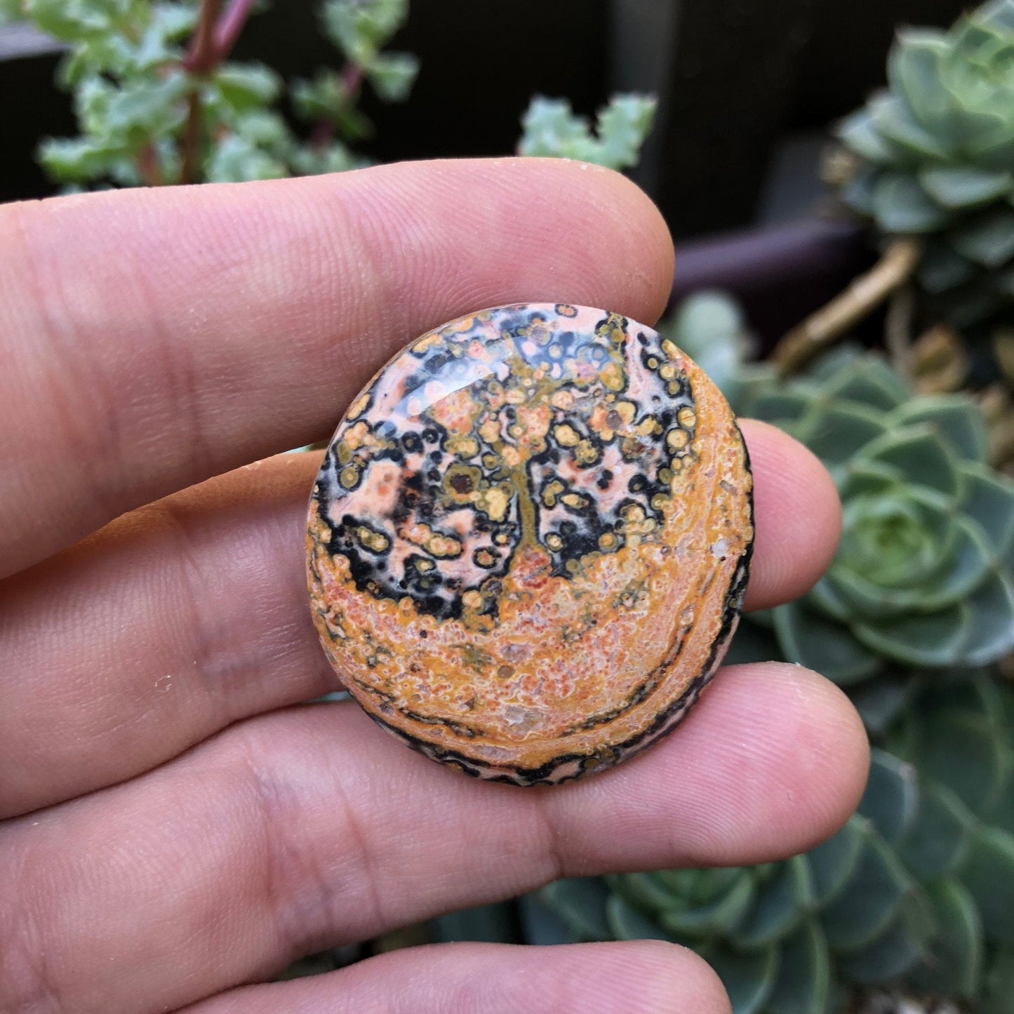 Leopard Skin Jasper Cabochon - 54 carats (31 mm x 34 mm) - Earth & Hammer