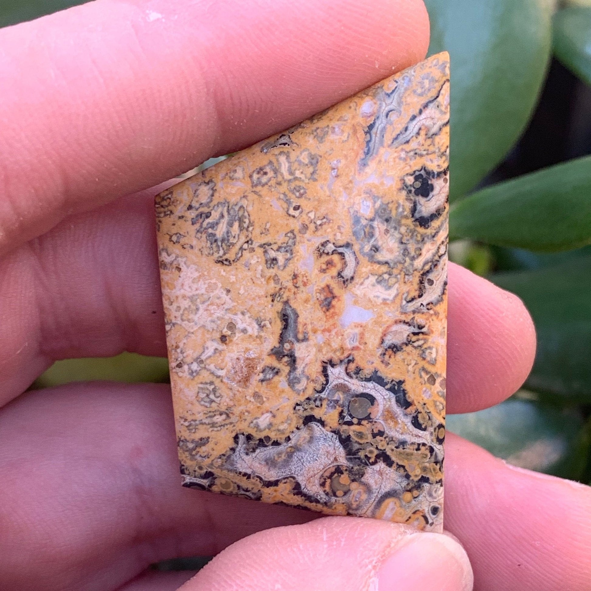 Leopard Skin Jasper Cabochon - 55.7 carats (44 mm x 26 mm) - Earth & Hammer