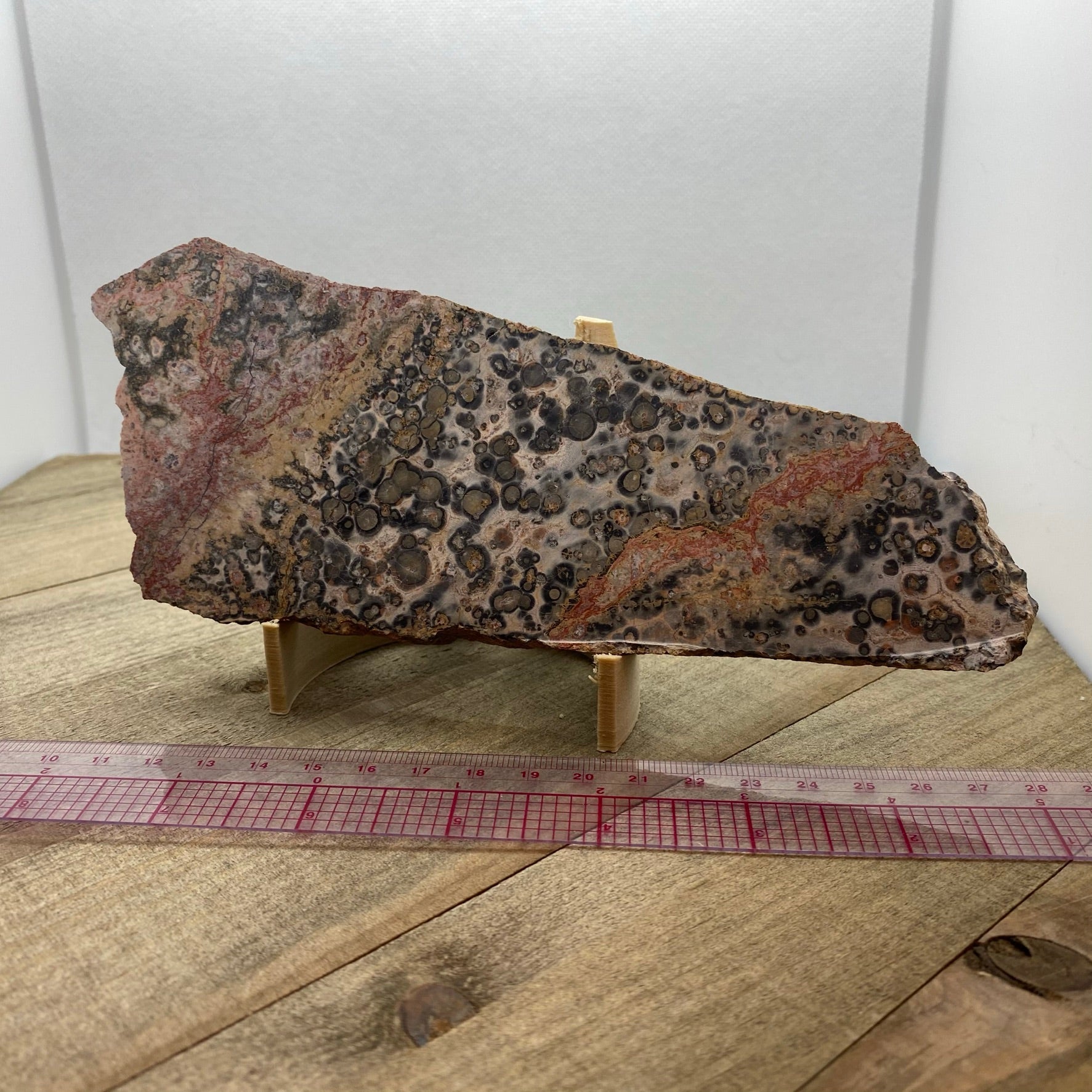 Leopard Skin Jasper Slab - Earth & Hammer