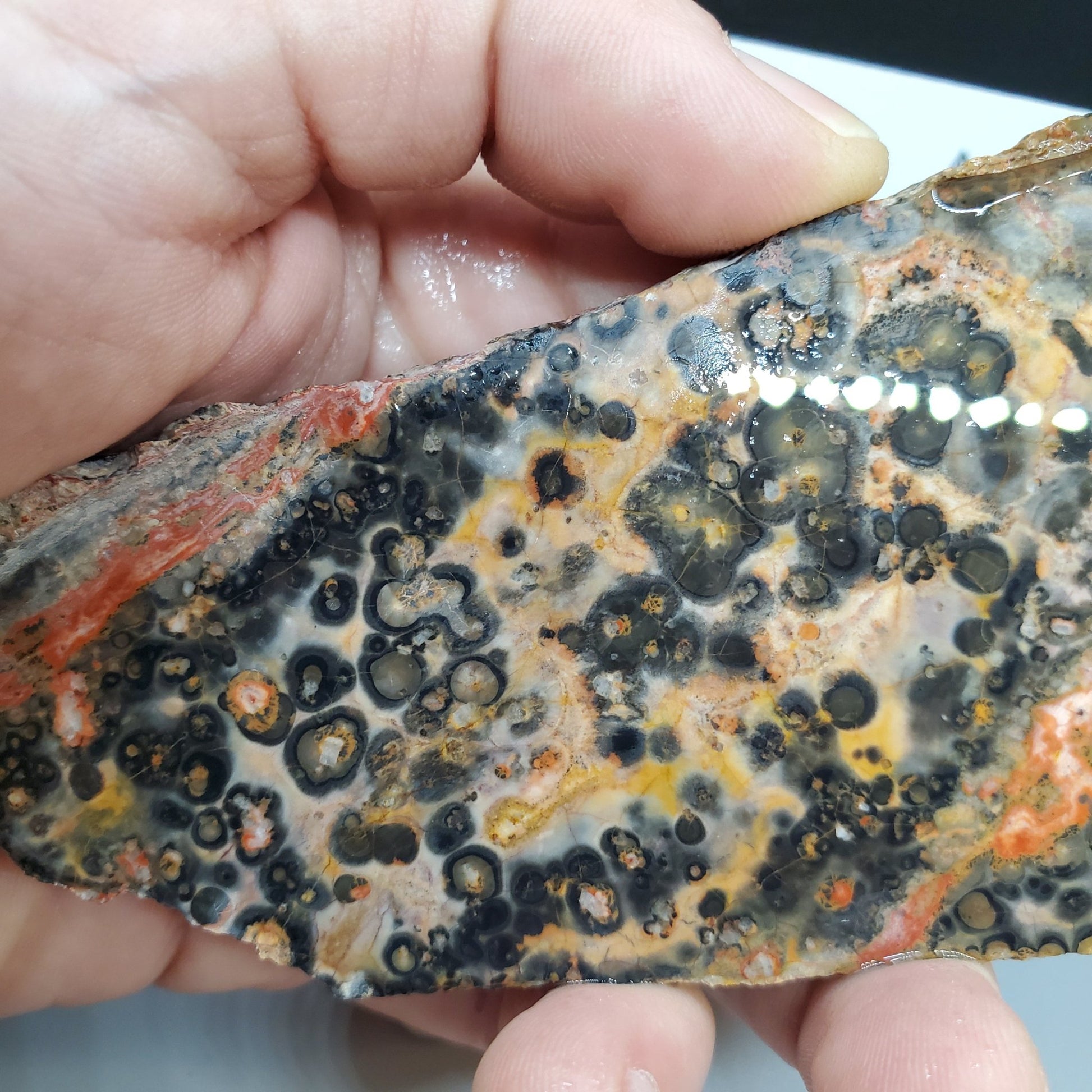 Leopard Skin Jasper Slab - Earth & Hammer