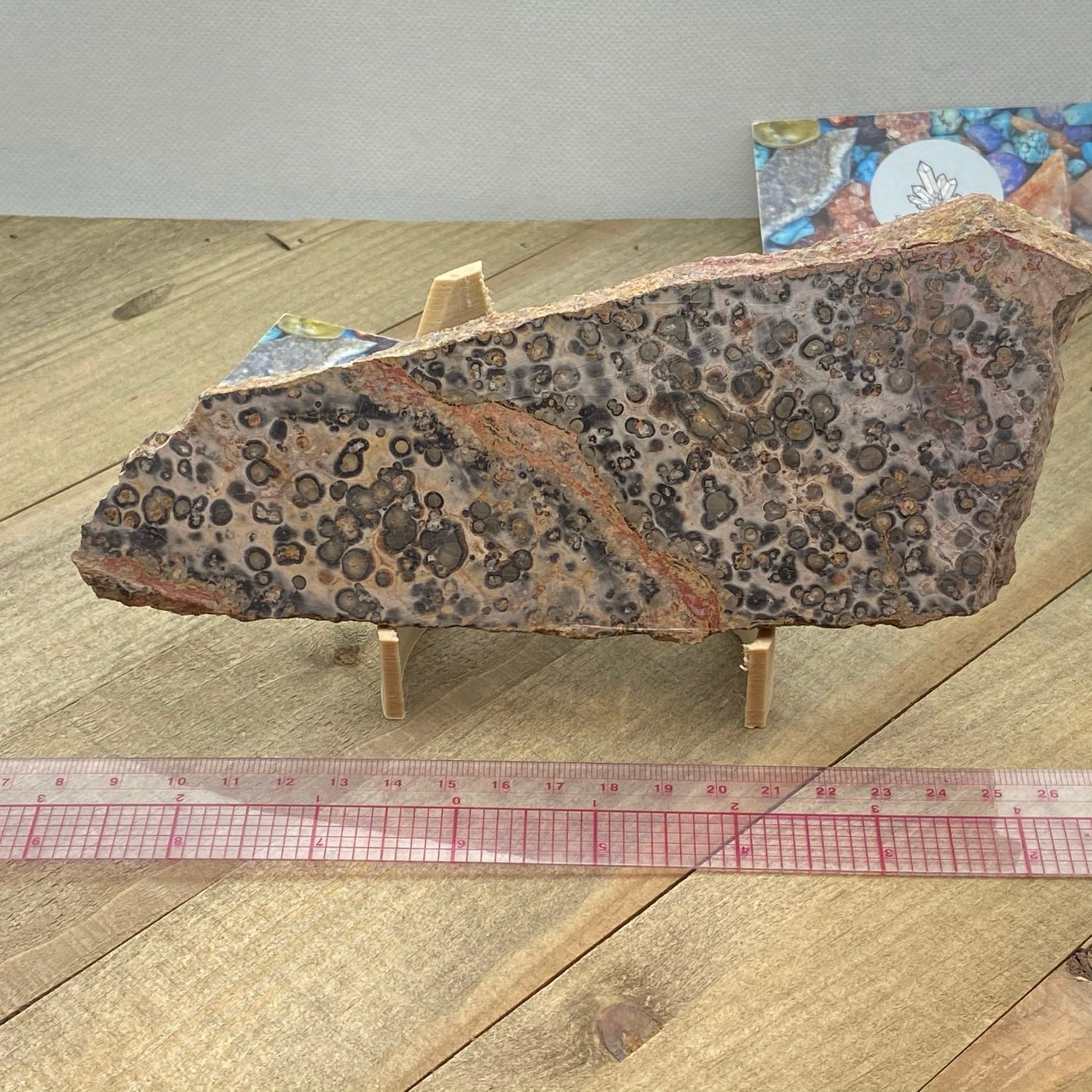 Leopard Skin Jasper Slab - Earth & Hammer