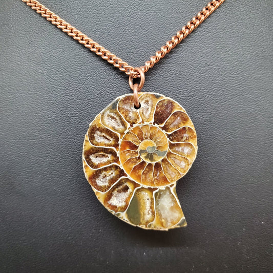 Opalized Ammonite with Copper Necklace - Earth & Hammer