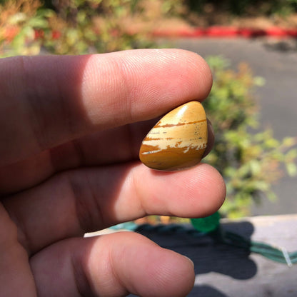 Owyhee Picture Jasper Cabochon - 14.35 carats (20.4 mm x 16.5 mm) - Earth & Hammer