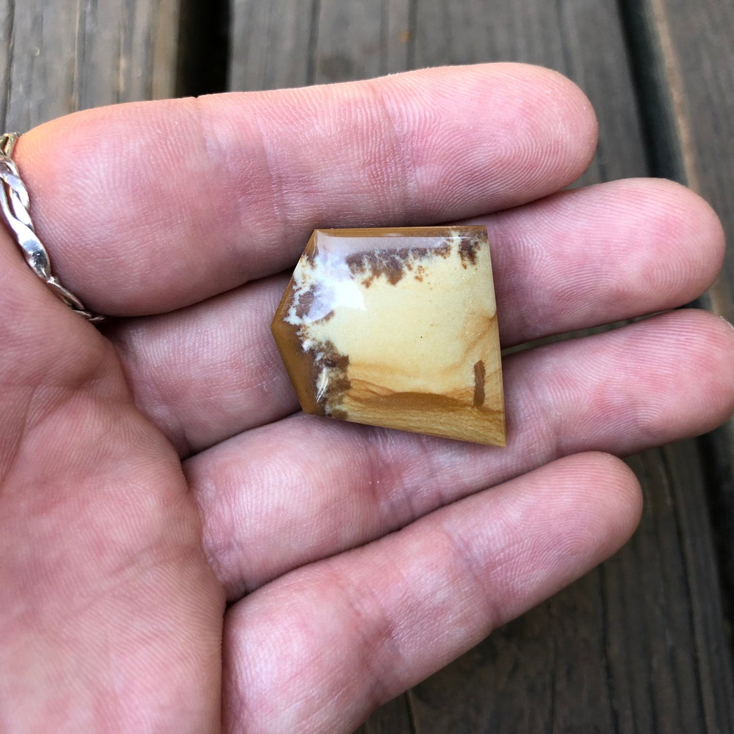 Owyhee Picture Jasper Cabochon - 36.7 carats (25.2 mm x 24.1 mm) - Earth & Hammer