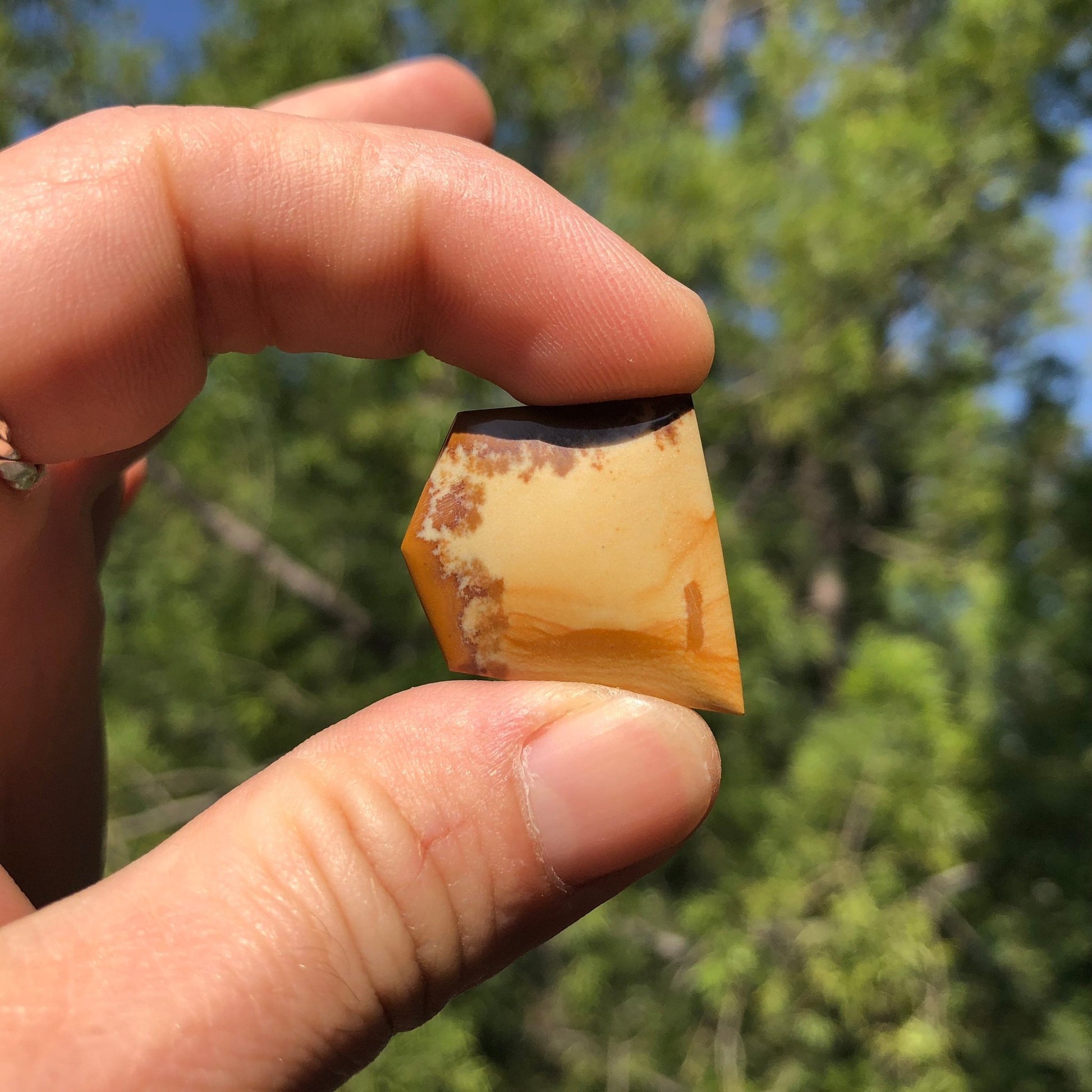 Owyhee Picture Jasper Cabochon - 36.7 carats (25.2 mm x 24.1 mm) - Earth & Hammer