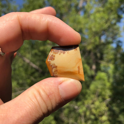 Owyhee Picture Jasper Cabochon - 36.7 carats (25.2 mm x 24.1 mm) - Earth & Hammer