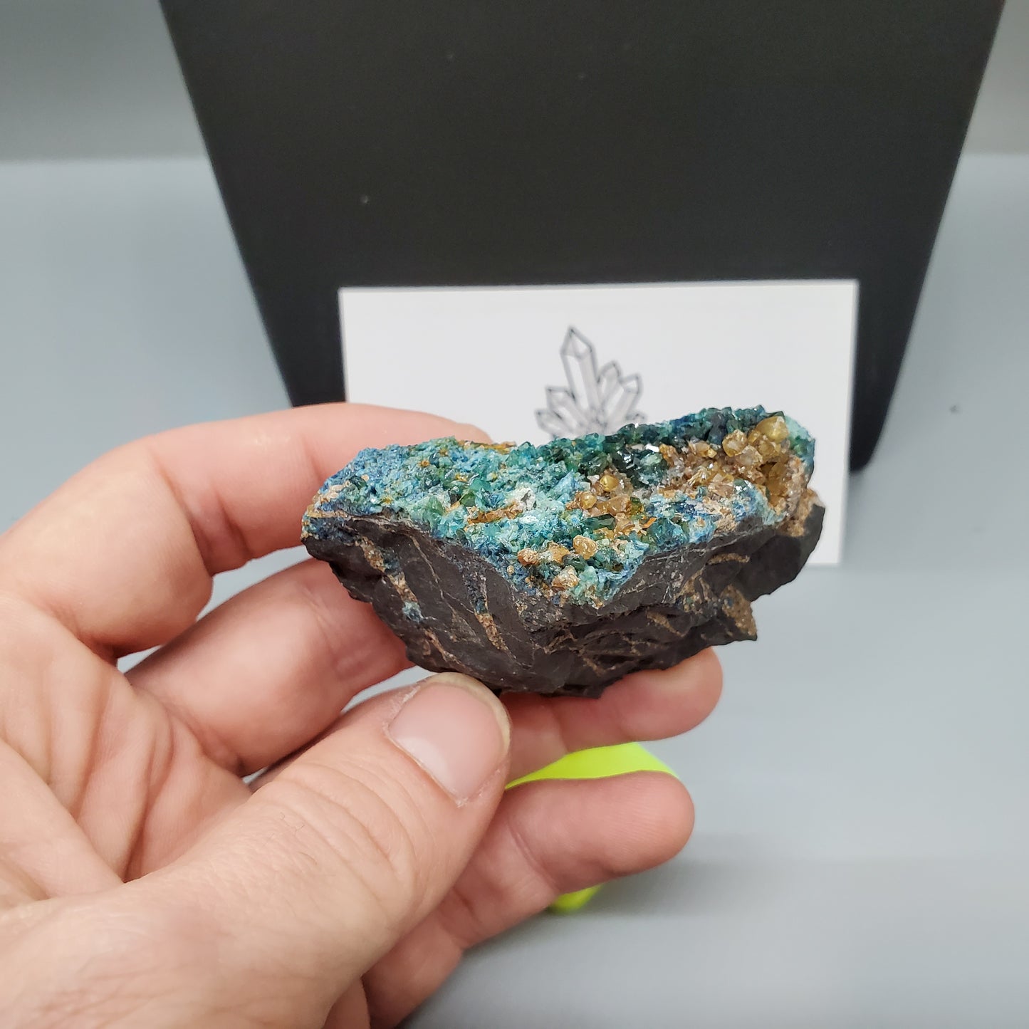 Lazulite with Quartz & Siderite (Canada)