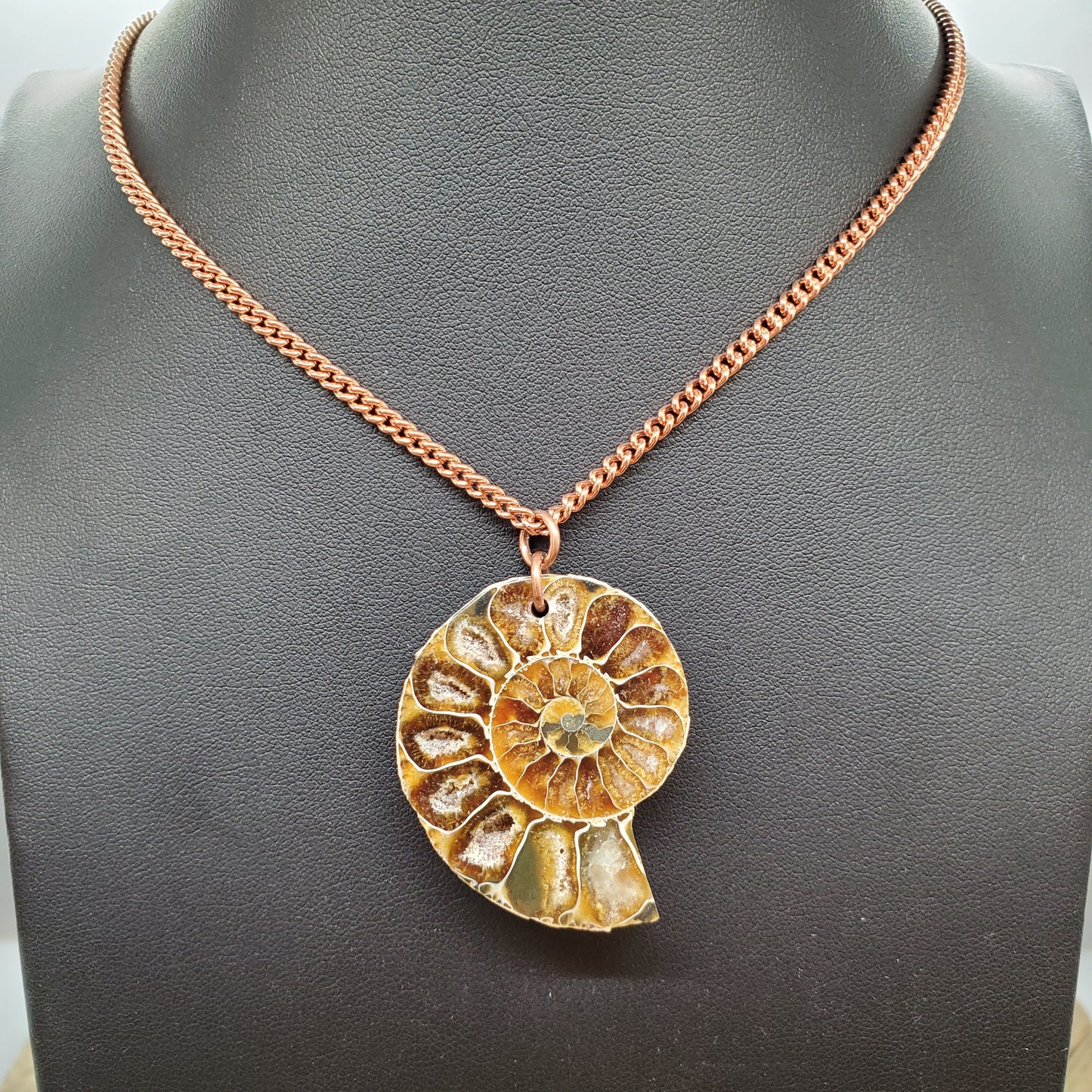Opalized Ammonite with Copper Necklace