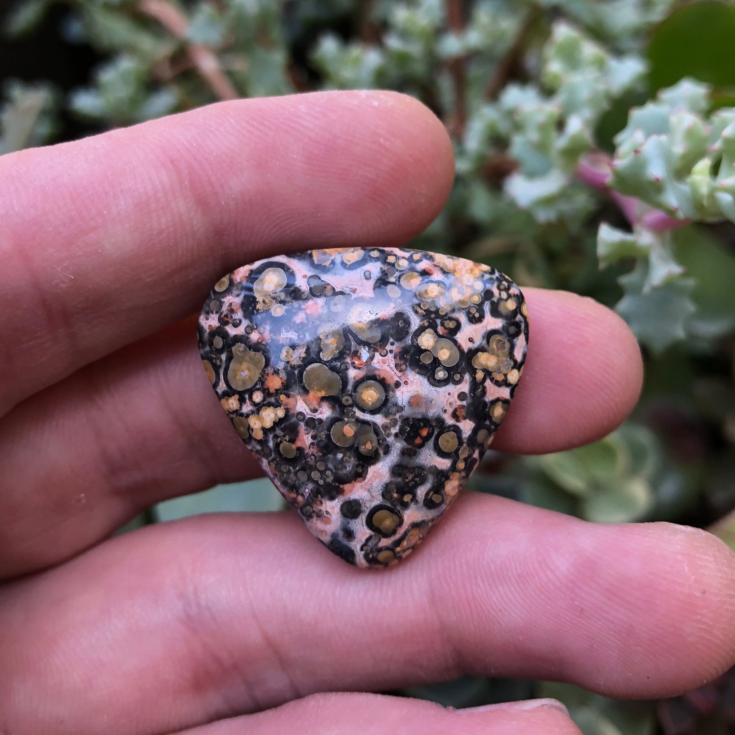 Leopard Skin Jasper Cabochon - 36.2 carats (~27 mm)