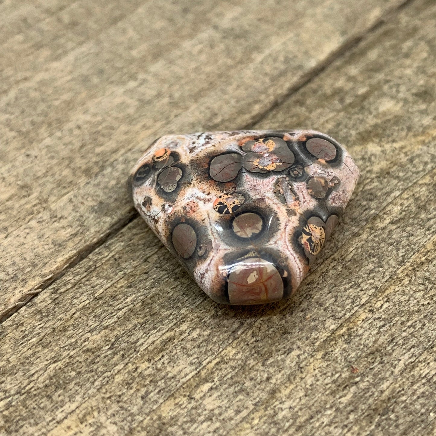 Leopard Skin Jasper Cabochon - 19.9 carats (20 mm)